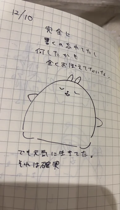 怒涛の3連続絵日記!!
#絵日記 