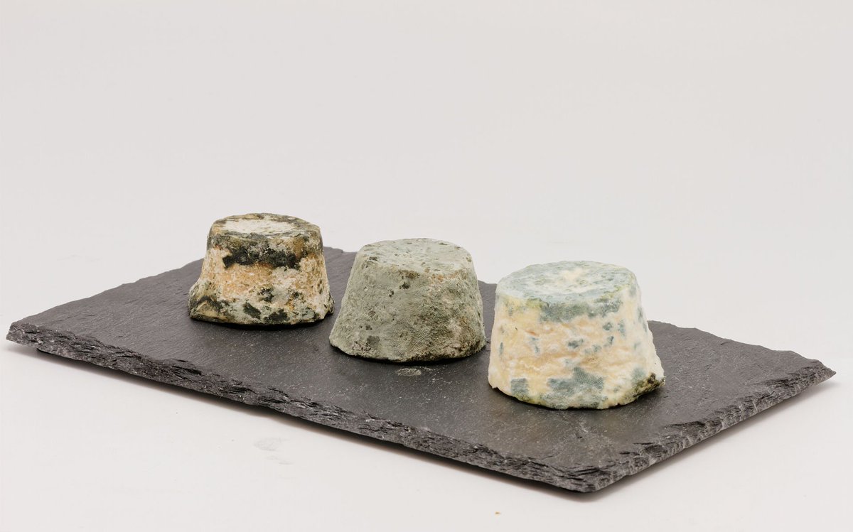 14e 32e de finale : Brillat-Savarin - Mâconnais