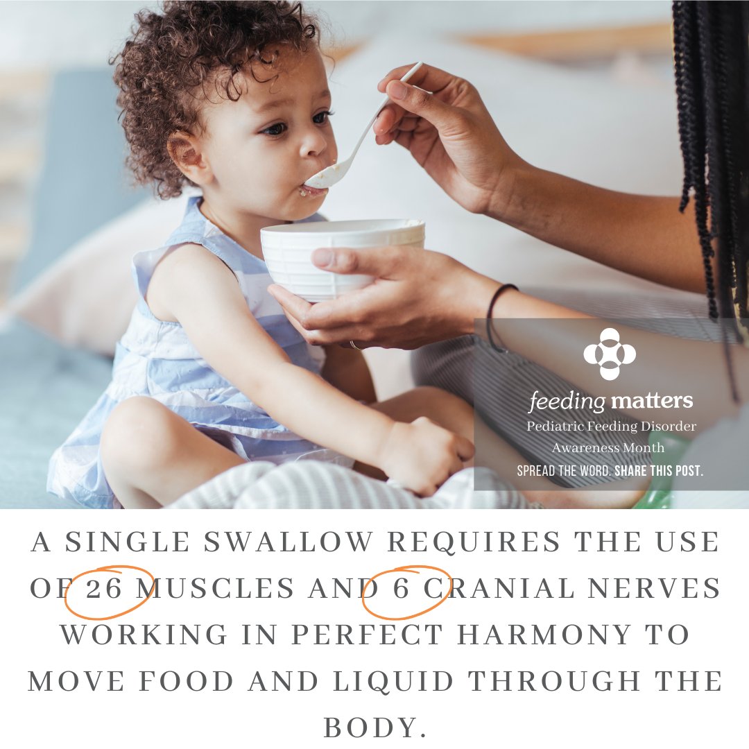 SidekickTherapy's tweet photo. 🔆 December is Pediatric Feeding Disorder (PFD) Awareness Month 🔆 For more information and free resources visit https://t.co/AWq658C2Xb #pfdawarenessmonth #callitpfd #pfd #sidekicktherapypartners #occupationaltherapy #physicaltherapy #speechtherapy https://t.co/gfUpyKxblm