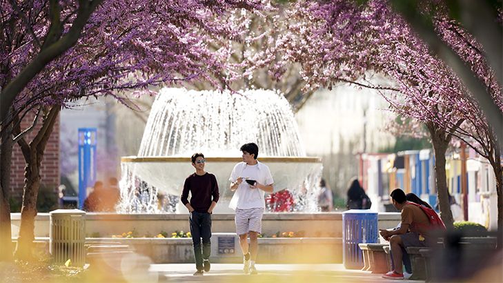 Two Fresno State students (male) walk alongside each other down the Maple Walkway in the spring with a fountain in the background.