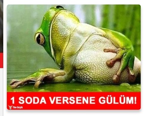 12sonbahar's tweet photo. @vekilmahirpolat @dryukselozkan @irfankaplanchp @VecdiGundogdu @avantmen33 @SEVDAERDAN @enginaltaychp @MzyenSEvkin @eczburhan @orhanssumer @avtutdere Evet helikopter motoru yapacaklarına heykel yapsalardı chp nin daha çok hoşuna giderdi.Motor chp de gaz yaptı. https://t.co/u1vCGQWYWh