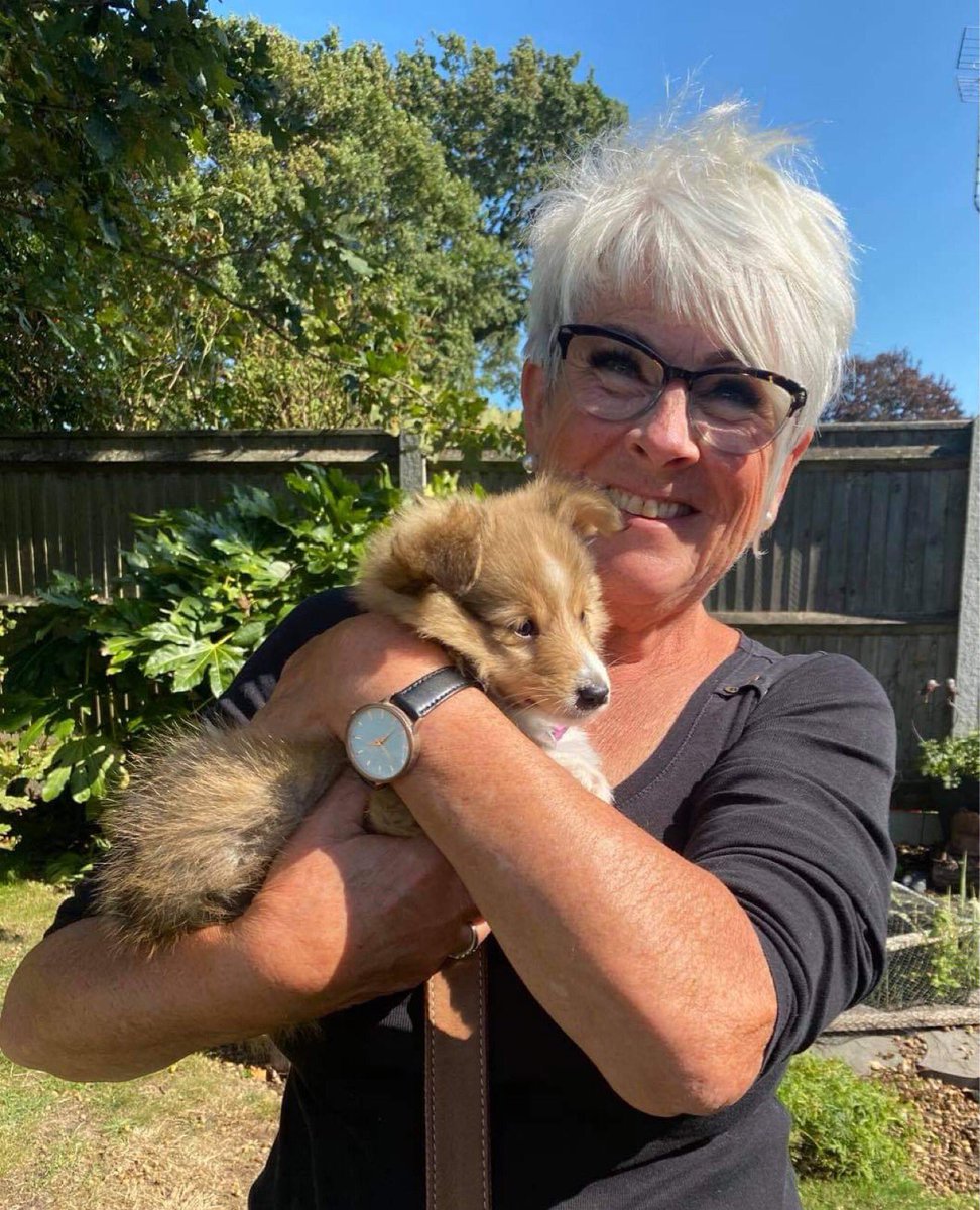 PawzitiveP's tweet photo. Bookings being taken for the new puppy courses starting in January 2021 in Bradwell and Barsham.  Only 5 puppies/handlers allowed per course.  Pls message me for further details and to reserve a place.  Thanks. https://t.co/5TXA0Jpv28