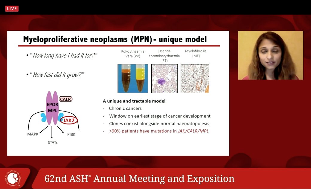 Common questions from patients. They grew single-cell colonies and did WGS. They drew phylogenetic colonies