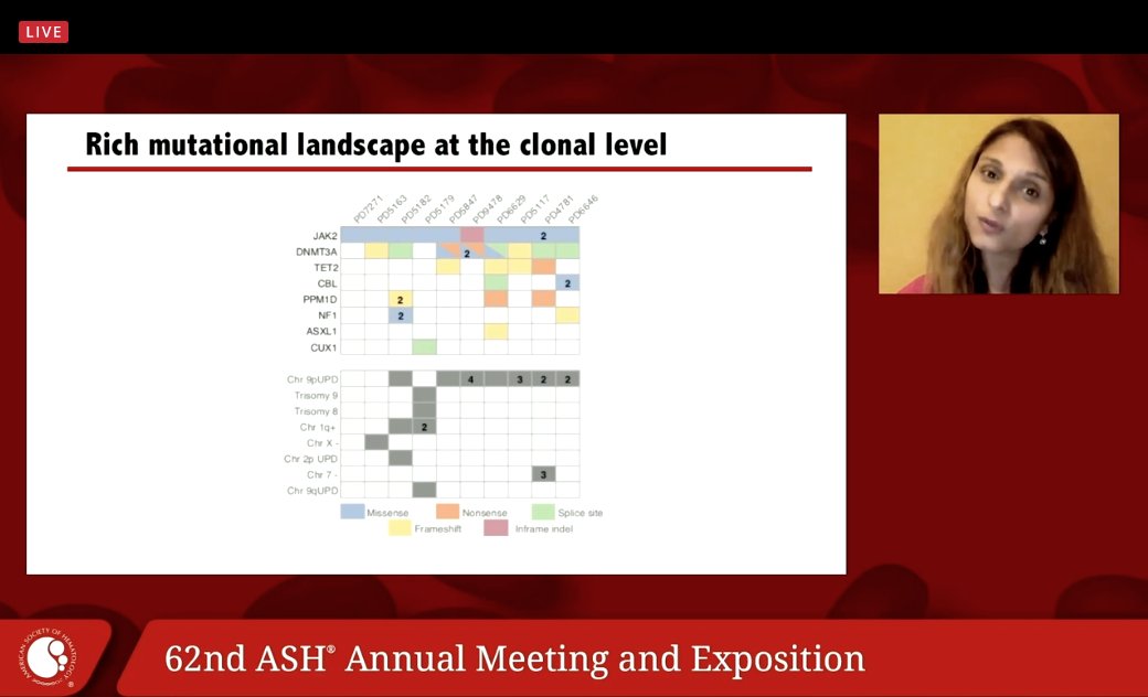 Common questions from patients. They grew single-cell colonies and did WGS. They drew phylogenetic colonies