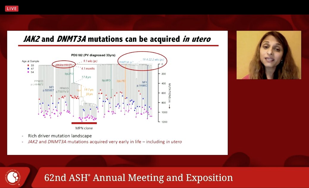 They convert relative timing to actual timing. They can trace back the inititaion to in utero. In some cases decades before diagnosis.m