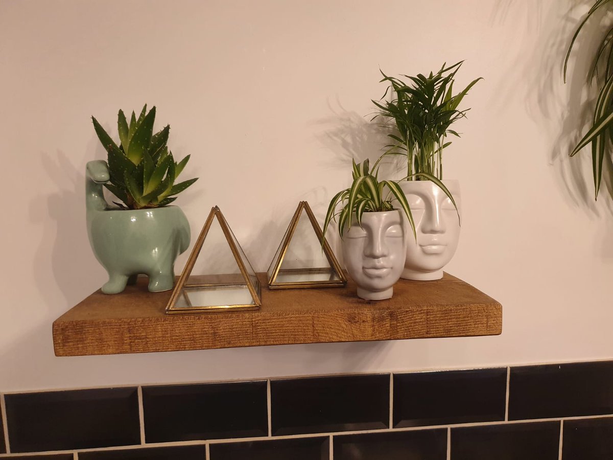 MissBeale1's tweet photo. May the plant obsession begin! 🪴🪴🪴 https://t.co/CjFQeFDN1j