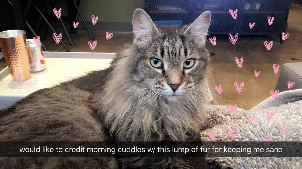 status annoyicus tweet media