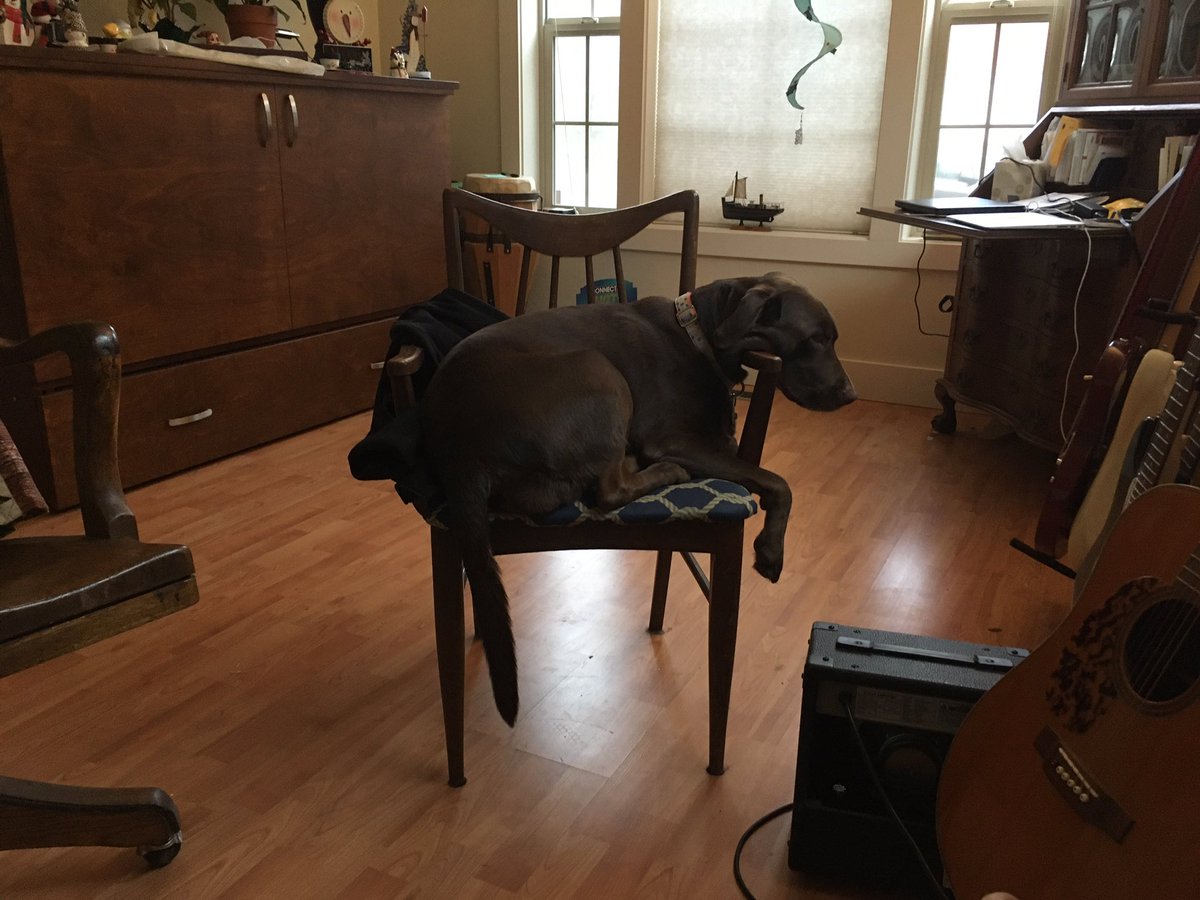 My meditation partner always falls 💤 in the middle the sit...<a href="/10percent/">Happier App</a>