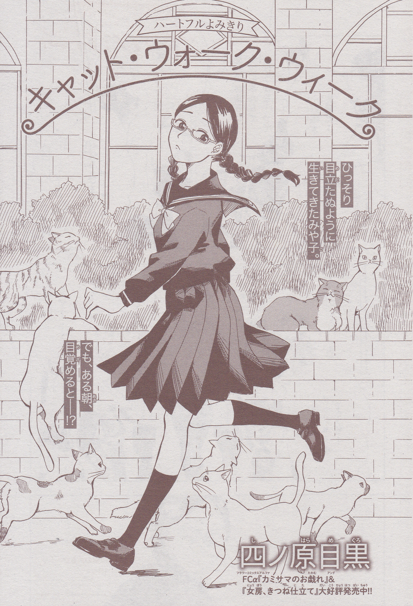 Toxsomi キャット ウォーク ウィーク 四ノ原目黒 T Co 2iazd9zyly Twitter