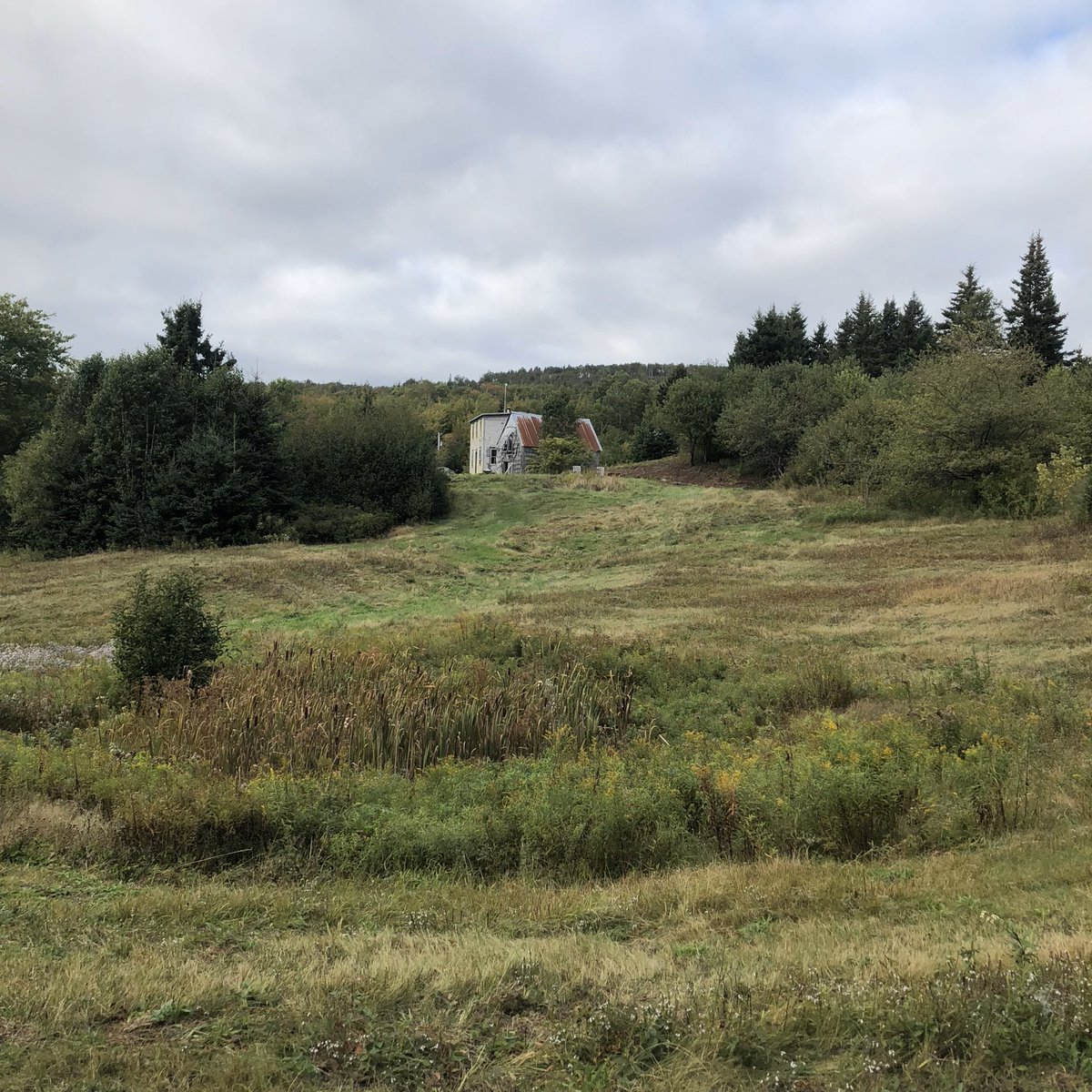 We bought it in 2017, the realization of a lifelong dream to own a home on Cape Breton Island, where I was born and raised.We had always hoped to find a heritage farmhouse in a secluded rural location and this house more than fit the bill.