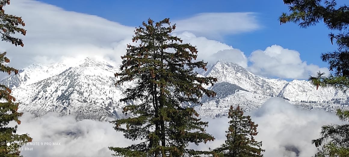 AshiaKh93956061's tweet photo. Snow was falling 
#Snowfall2020 https://t.co/lIxCTNl5Xq