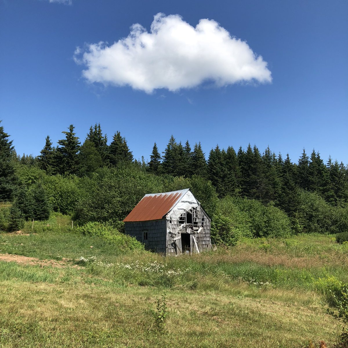 Known locally as Flat Roof Farmhouse, it was completed in 1886, built by Archie Gillis and his wife Mary. They lived in this shed for two years while the house was under construction.It sits on a mountainside surrounded by woods, the last house on our remote gravel road.
