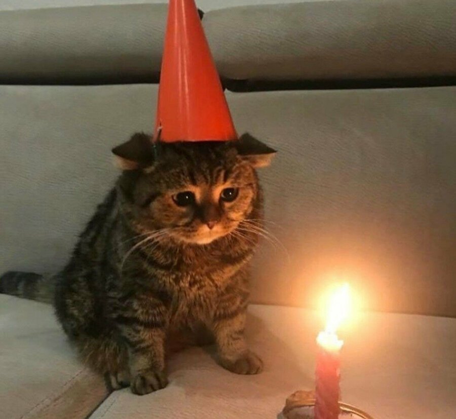 Arkadaşlar ,
Bugün Doğum Günün Nasıl Gidiyor Parti;
O Sırada Me ; 
😂😂
#dogumguenuem