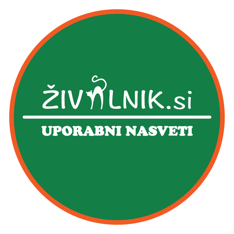 [Odločili smo se za nakup štirinožnega prijatelja. KAKO NAPREJ❓]

Kje lahko najdem dobro leglo❓ Kdo mi lahko pri tem pomaga❓ Na kaj moramo biti pozorni❓ Vsi odgovori vas čakajo v našem novem članku.

🔸 Preberite 👉 bit.ly/3ngNT0Q

#IzbiraPravegaVzreditelja #Živalnik