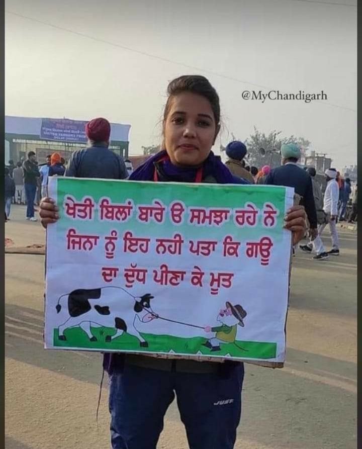 Deepikasharma_'s tweet photo. Translation: Those who can't decide/understand whether to drink cowmilk or cow urine are trying to explain us the Farm Bills.

It comes down to Hindumesia. Hatred for everything sacred to Hindus society. 

We won't let this be normalised. Intolerant? Yes. Unapologetically https://t.co/nmQd9I8Fz7
