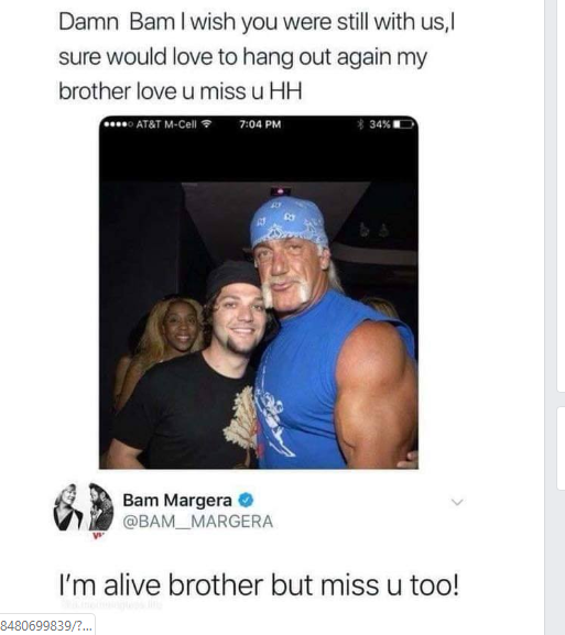 Hulk Hogan on Twitter: "Yo Zeus RIP my big taken a couple of days for me to regroup,love U4LifeHH" / Twitter