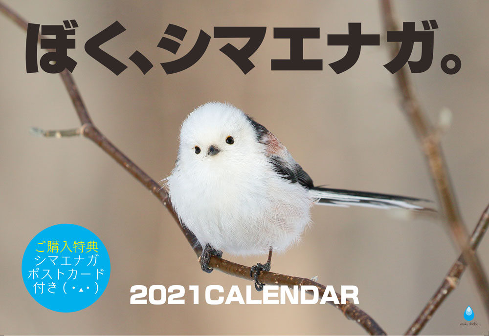 ぼく シマエナガ ミニカレンダーとポストカードがおまけでついてくるａ４サイズの壁掛けカレンダー T Co E0budjd2ah