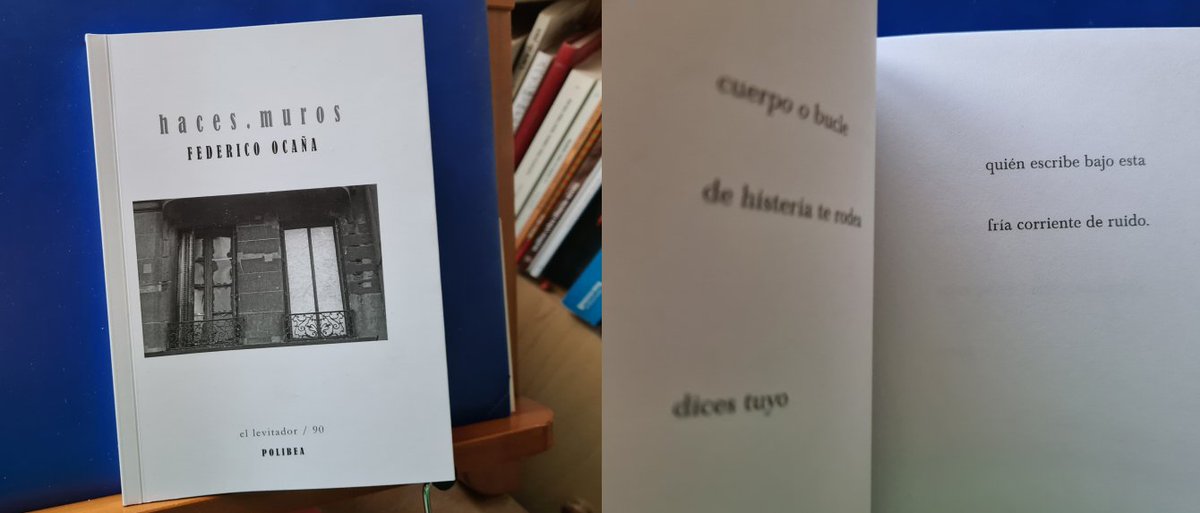 OscarEsquiviasG's tweet photo. Cada vez que paso una página de este libro de Federico Ocaña (ilustrado con fotos estupendas de #IreneTourné) tengo la sensación de que sus delicados poemas, tan delicados, se van a desvanecer y que cuando quiera volver a leerlos me encontraré las páginas en blanco.
#hacesmuros https://t.co/61VGEDeWMK