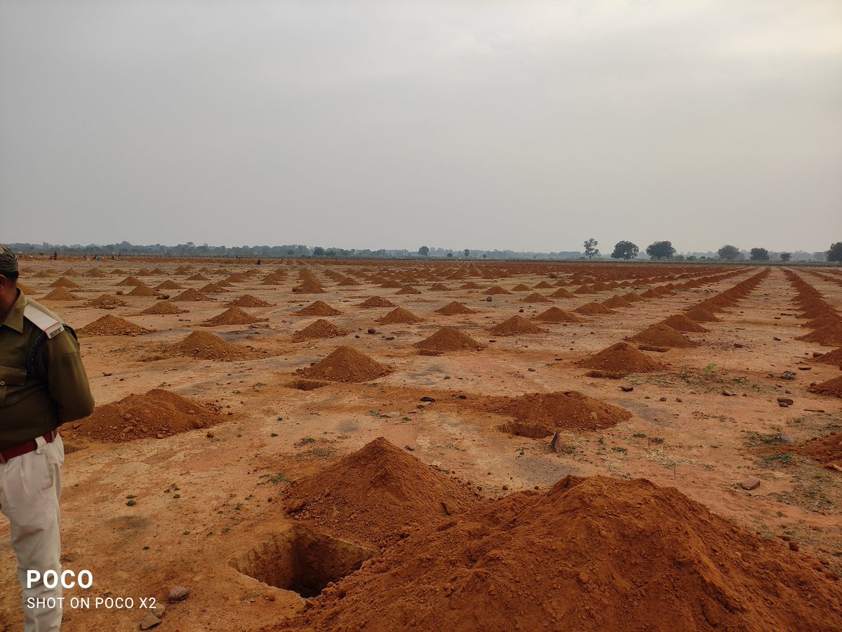 A new life is being grown
A site which is gonna be full of oxygen in a few years
A site which will give you water, shelter, wood for furniture, fruits and what not.

MP is having highest forest cover and we are making it denser by filling thousands of hectares of blank patches