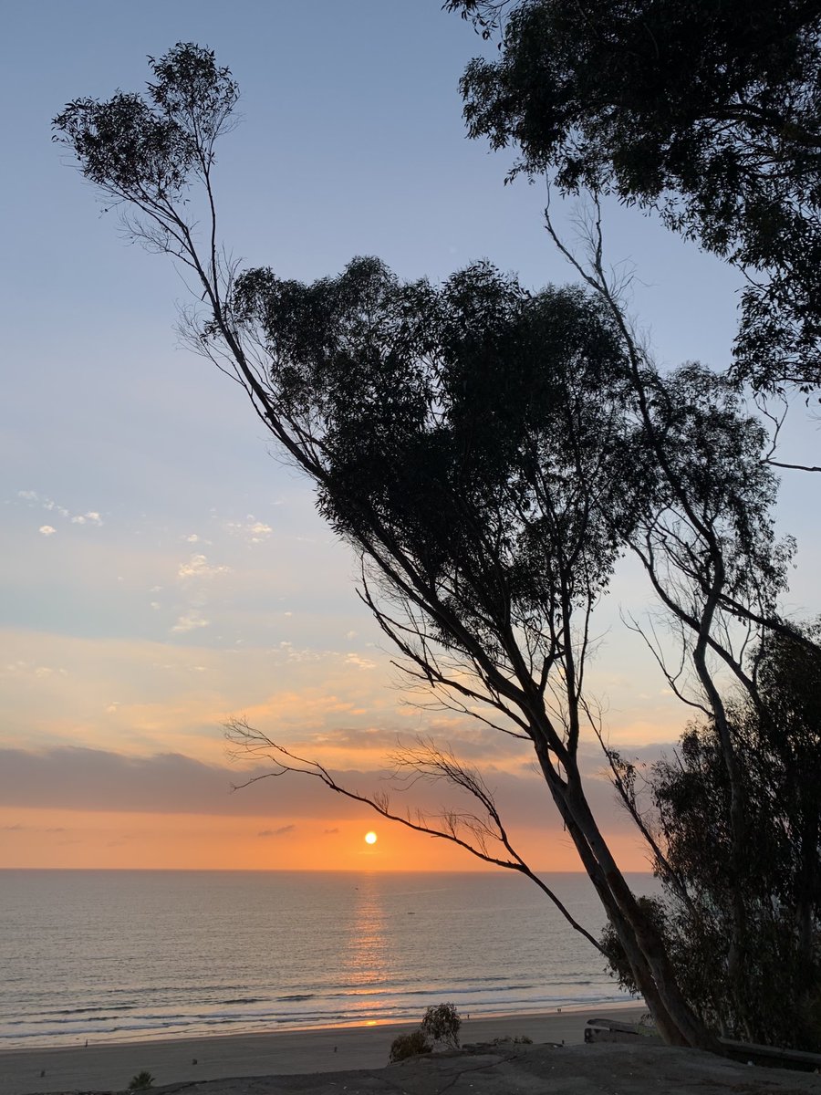 clbeth3's tweet image. Watching sunset in Santa Monica.