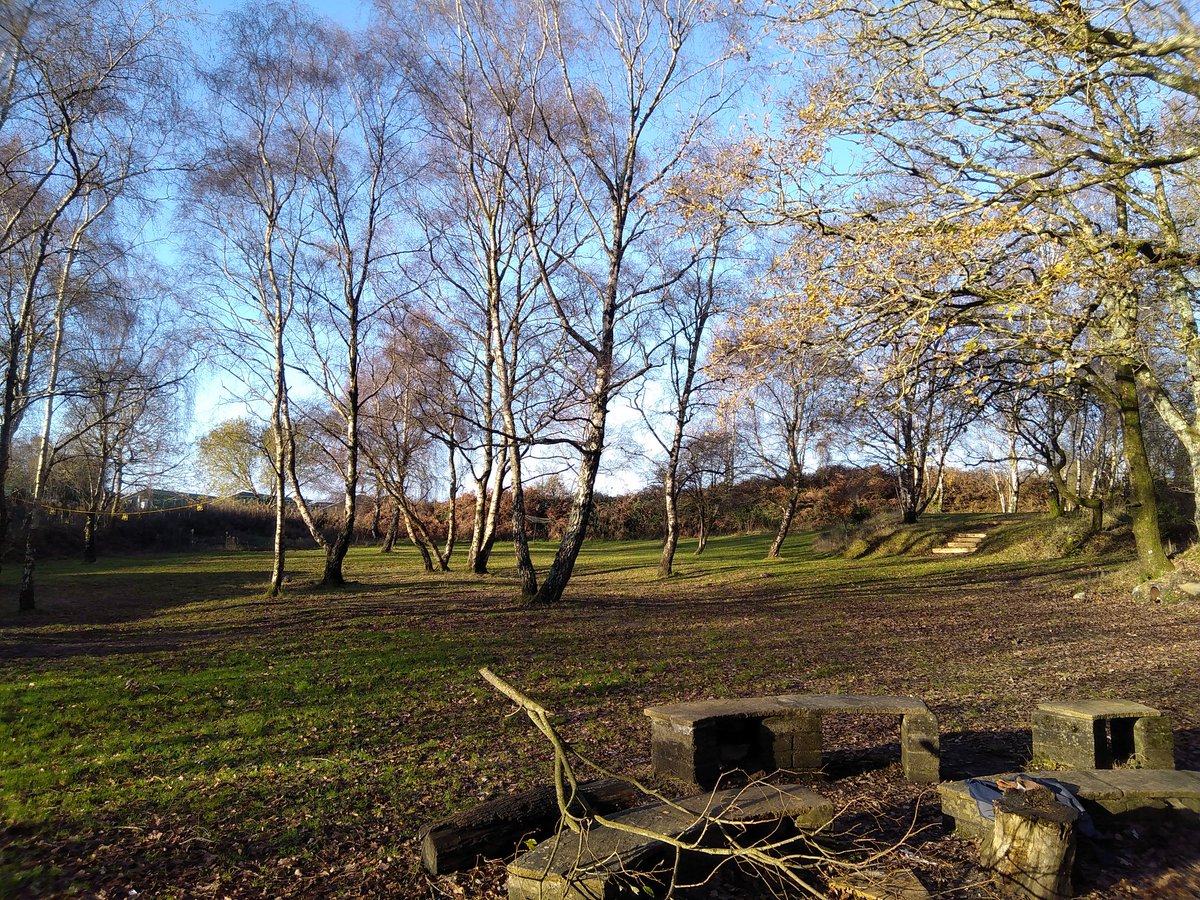 Lots happening onsite @brownjohnscopse today preparing for the arrival of our new toilet block, lovely to see Wool and Bovington Scout group enjoying the sunshine too.