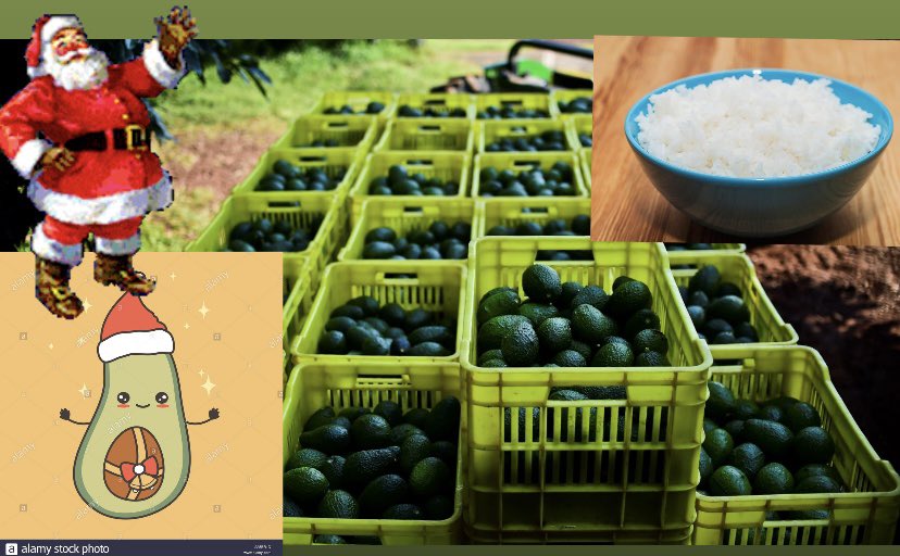 erickgvg01's tweet photo. @YarlinKnudson @thaisv04 @maruv_24 @lizgabrielamm @pastelitosdkeso @AEMP_UP @med14up Le mandamos un cargamento de aguacate y arroz blanco para que pudiera venir a dejar los regalos 💪🏼💪🏼💪🏼💪🏼
#retoAEMP @AEMP_UP https://t.co/1uSvlhx2bJ