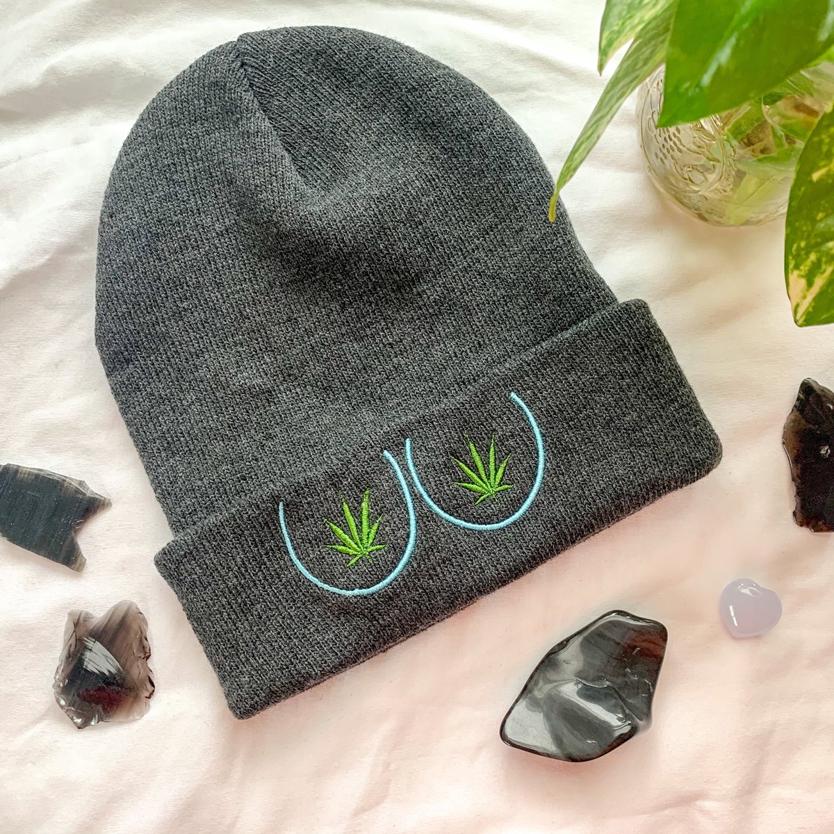 astraeagoods's tweet photo. giving away this cutie 🌿

rt, follow me, &amp; tag friends below 💙

ends 12/15! good luck 🍃 https://t.co/a4cBu6sBgP