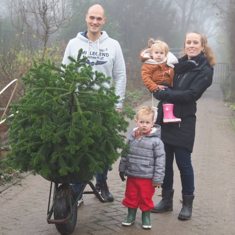 KNIJ_2025's tweet photo. Vandaag zijn de kerstbomen 🌲🌲 uit onze logeertuin opgehaald. Zoals je kunt zien op de foto's zijn de duurzame, herplantbare kerstbomen van @Intratuin030  erg mooi gebleven! Nog een boom nodig? Ook dit jaar zijn ze er weer. #ijsselstein #duurzamekerst #groenekerst https://t.co/CrchNzTNVv