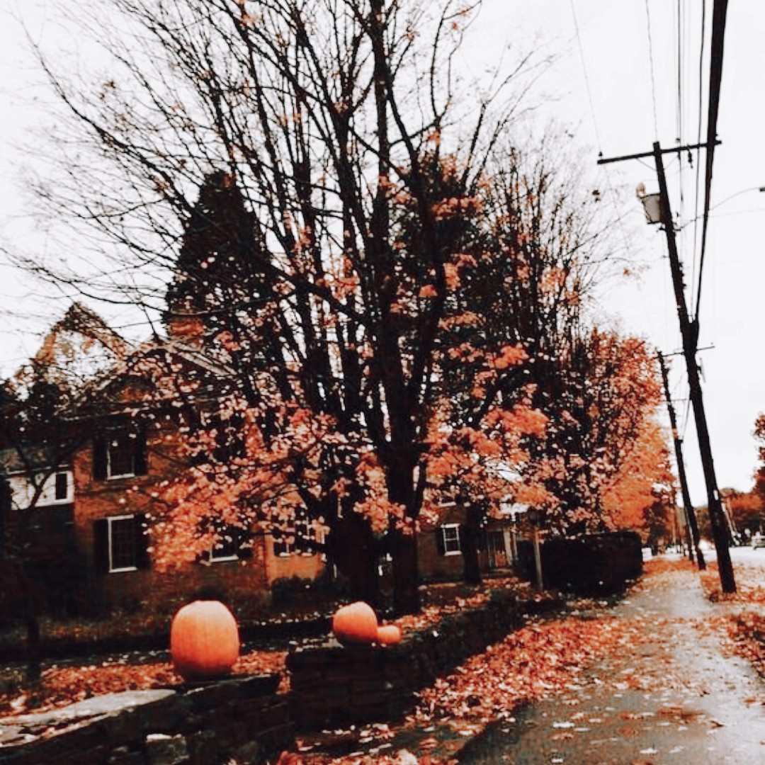 - Gods & Monsters( https://archiveofourown.org/works/2090982/chapters/4550871?view_adult=true)