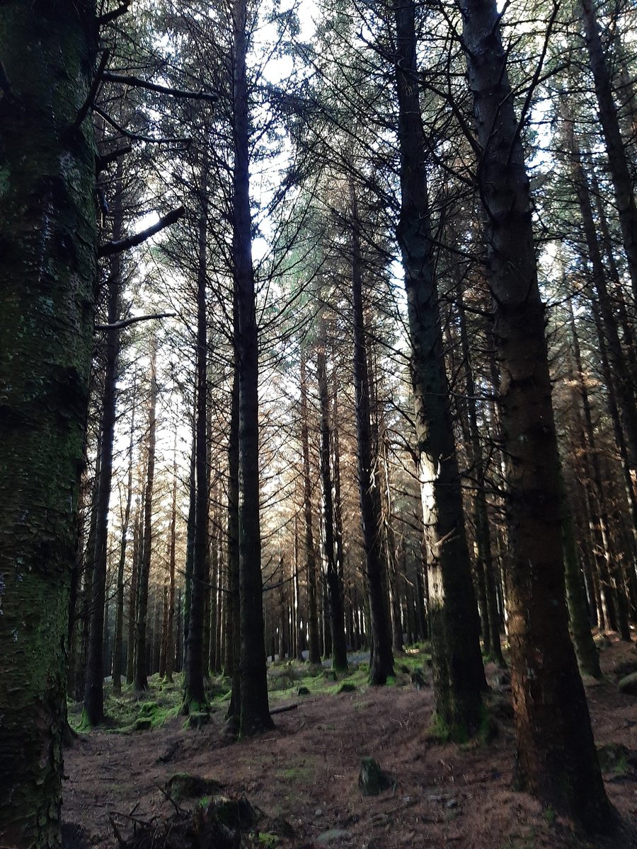 grehango's tweet photo. Day #12/12.  #ISLHiking - Last day for #islwalk with fabulous weather 😁🚶‍♀️

Excellent quote from @HFSchoolDeaf1 Principal Eimear O'Rourke 'Remember walking/running is good for your body, mind &amp; overall health. Keep walking/running to a better healthier life' #islrun https://t.co/r8cm1EK1PX