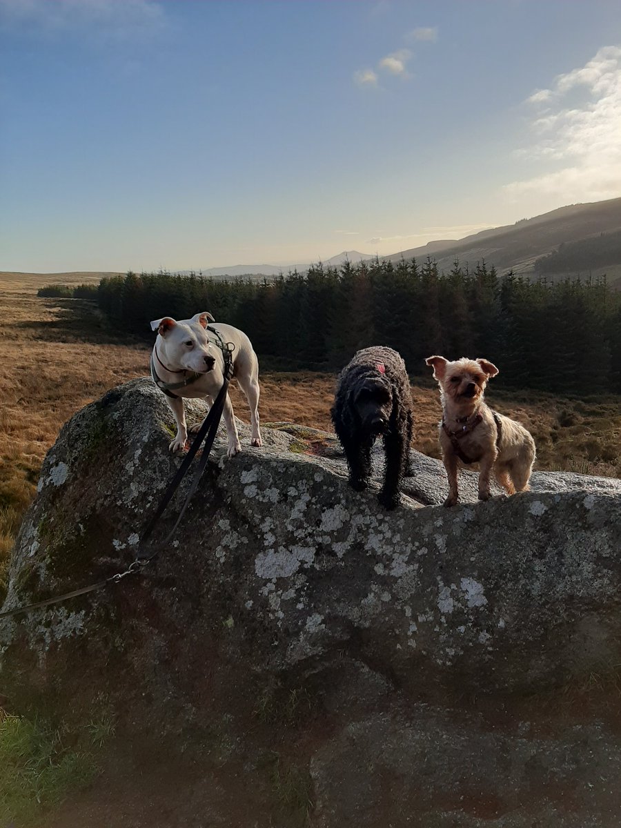 grehango's tweet photo. Day #12/12.  #ISLHiking - Last day for #islwalk with fabulous weather 😁🚶‍♀️

Excellent quote from @HFSchoolDeaf1 Principal Eimear O'Rourke 'Remember walking/running is good for your body, mind &amp; overall health. Keep walking/running to a better healthier life' #islrun https://t.co/r8cm1EK1PX