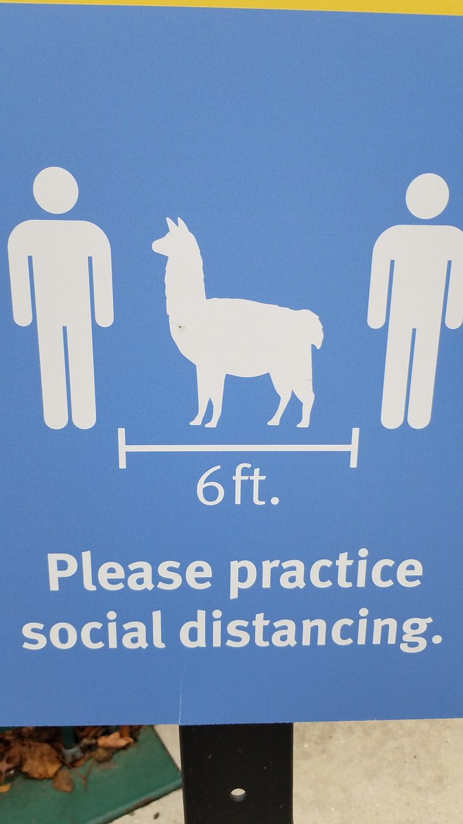 Gutmann Laboratory tweet media