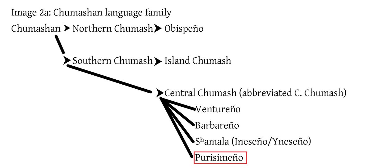 2/12 Other C. Chumash languages have 2 dorsal fricatives: <x> [χ] and <x̓> [χ̕ ]. PUY has the first, but it seems to have been in the process of changing location. In words where it occurs, it invariably corresponds to uvular fricatives or plosives in other C. Chumash languages.