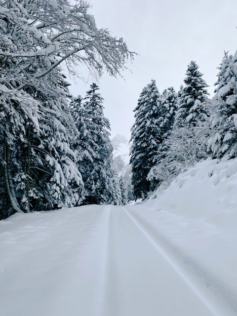 CastanRoi's tweet photo. Alerte, les chutes de neige sur les Pyrénées rendent l'accès des centrales #Hydro d' #Edf_Hydro_SO charmant, mais l'arrivée du redou et de la pluie annonce une fonte rapide ce week-end.#surlepont les agents #EdfOfficiel sont présents pour assurer la sûreté des ouvrages. https://t.co/evX6tYVOik