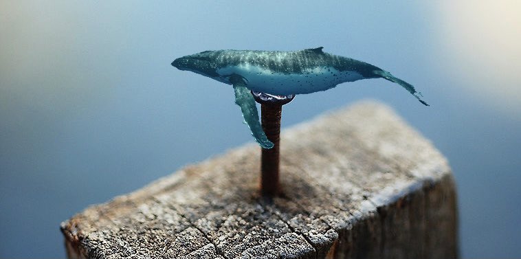 you’ve heard of elf on the shelf, now get ready for (a thread)