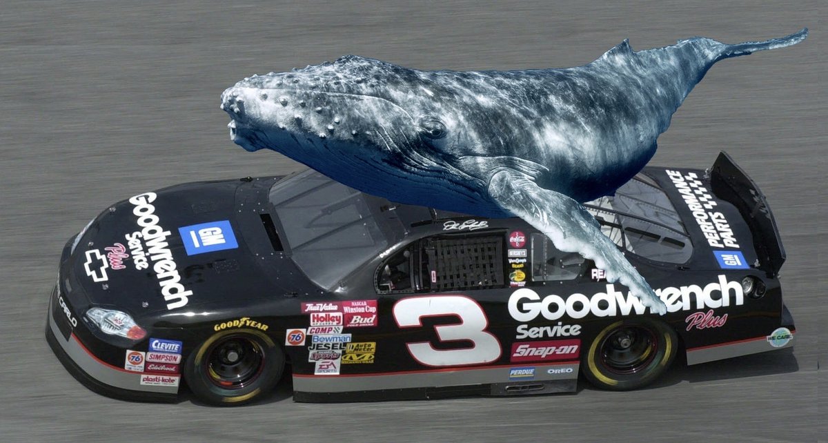 you’ve heard of elf on the shelf, now get ready for (a thread)