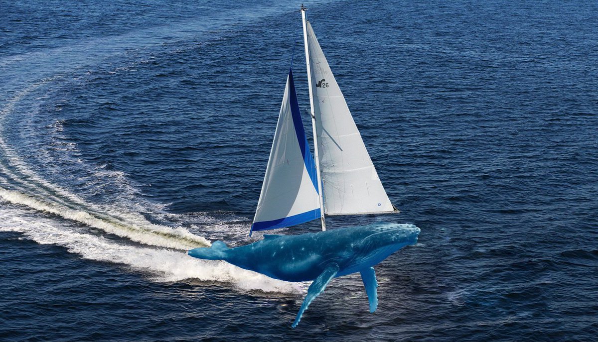 you’ve heard of elf on the shelf, now get ready for (a thread)