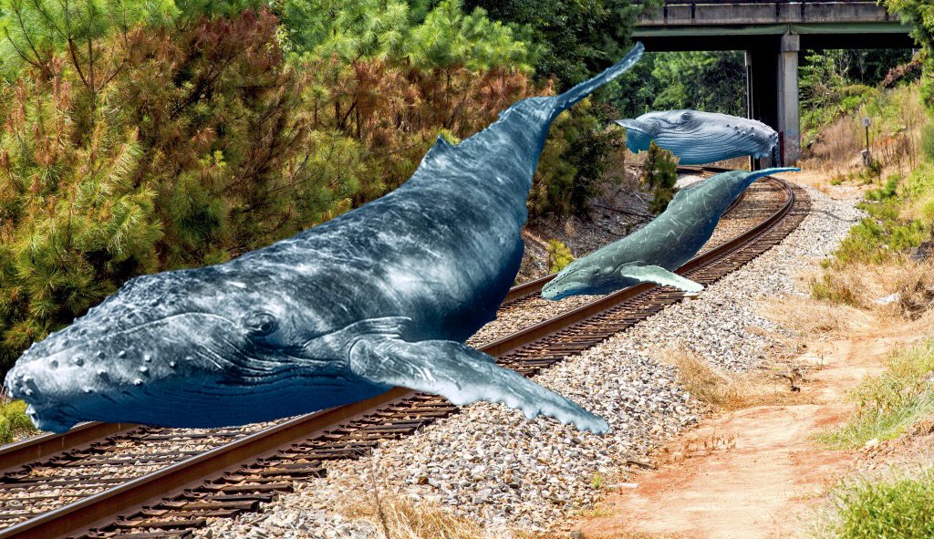 you’ve heard of elf on the shelf, now get ready for (a thread)