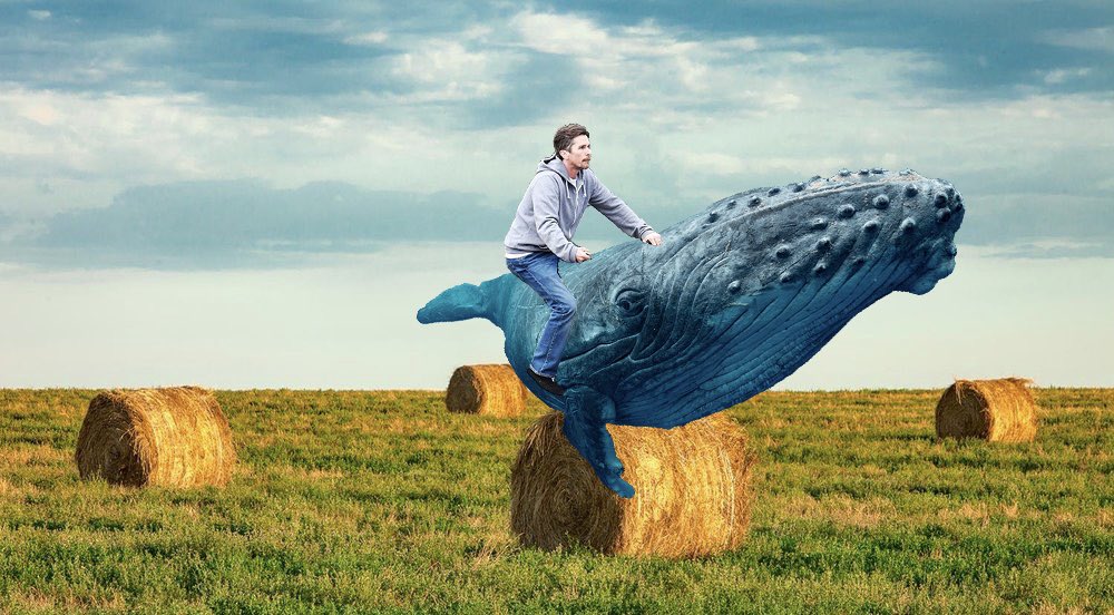 you’ve heard of elf on the shelf, now get ready for (a thread)