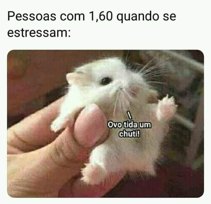 DissePipo's tweet photo. Ou menos Correto?.... https://t.co/PAmPeqNjCs