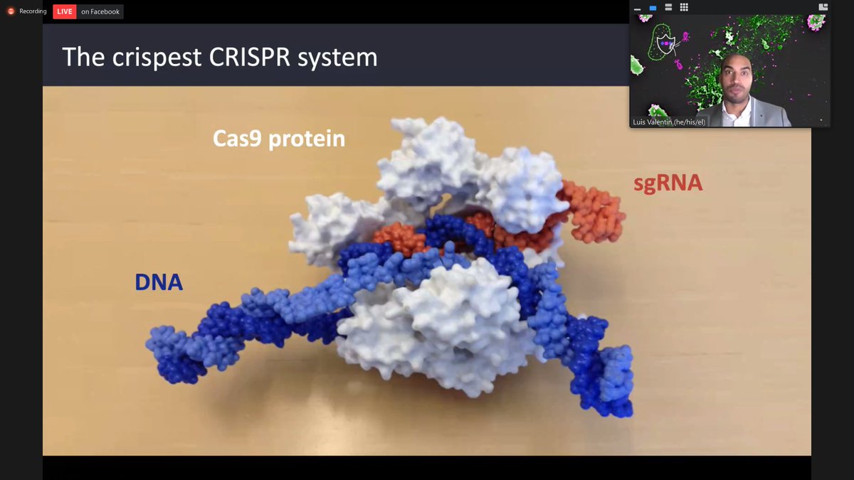 SebastianTtsf's tweet photo. Luis Valentin Alvarado (@luis_valentin26), a PhD Candidate from UC Berkeley explains #crispr, its biology, technology, and ethics on the TeenTechSF Global Youth Summit. See it live on Facebook: https://t.co/KncYxJC2OP #science #technology #ethics https://t.co/iflHl6AO64
