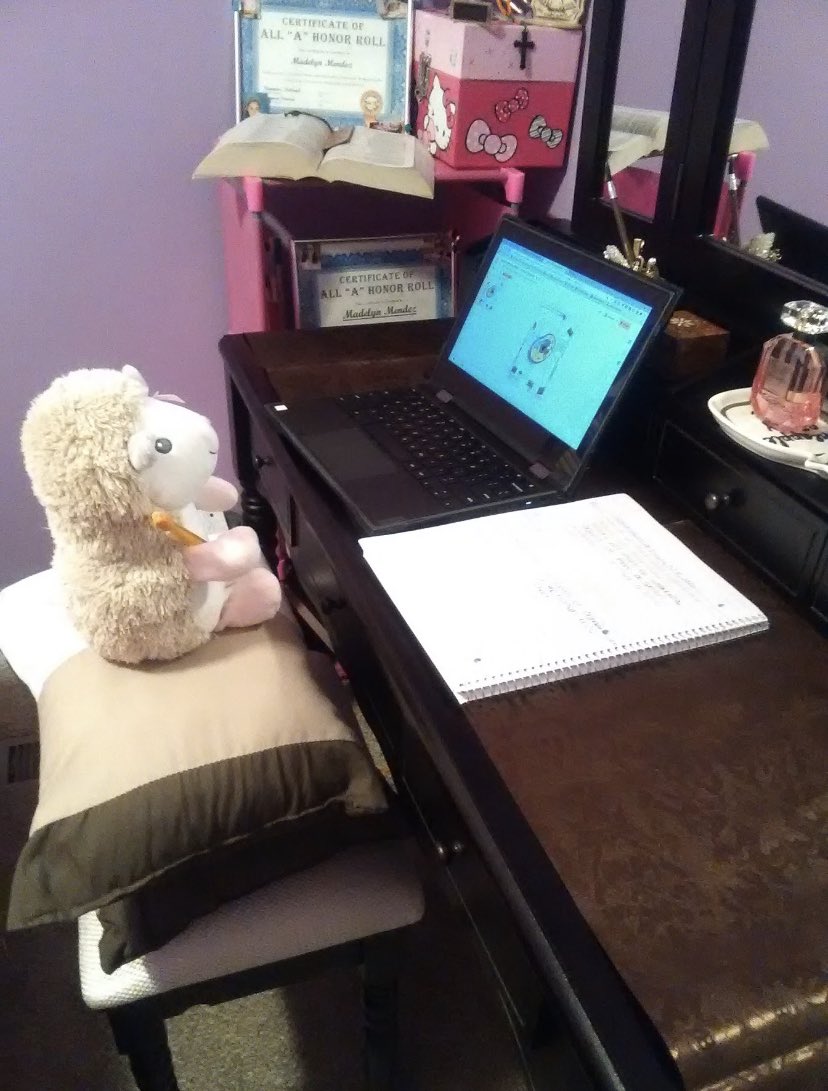 MsWalshClass96's tweet photo. A @Lex2Virtual scholar having their work peer reviewed by a furry friend.  #neverworkalone https://t.co/i5fCETzJAS