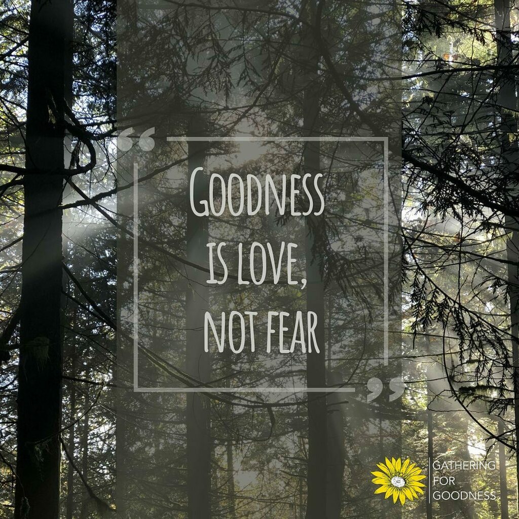 gather4goodness's tweet photo. If ever there was a time to “pile on”, we’re in it.  Do it now, and do it with GOODNESS.  The result feels like love. 
.
.
#gathergood #Thx2 @viv_ip 
📷 @jodyquine https://t.co/PH26eMnBoF https://t.co/r6ZaJePbix