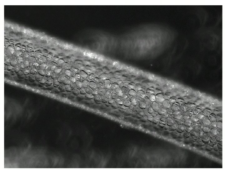 Márcio Oliveira tweet media