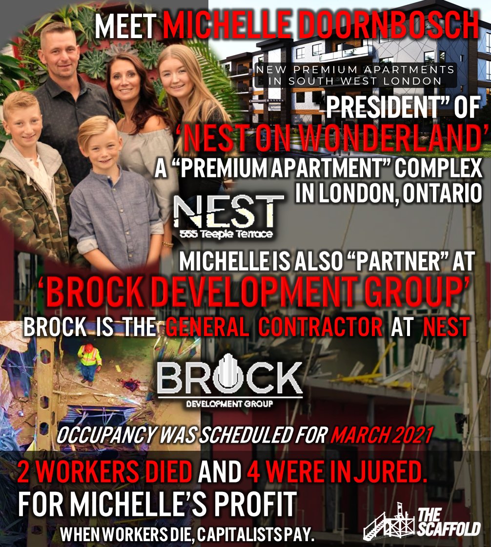 The Scaffold tweet media