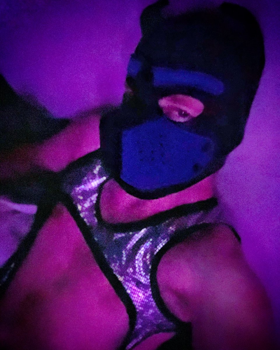 PupHurricane's tweet photo. A different photo from last night *woof* 🐶🌟
#pupplay #humanpup #gaypup #puppyplay #gaypuppy #humanpuppy #humanpupplay #puppypride #gaykink #gaypupplay #puppykink #puppyfetish #gay #gayboy #gayfetish #puppypride #gaywolf #gaypride #sexygay #gaytwink https://t.co/L6dUNIR1ER