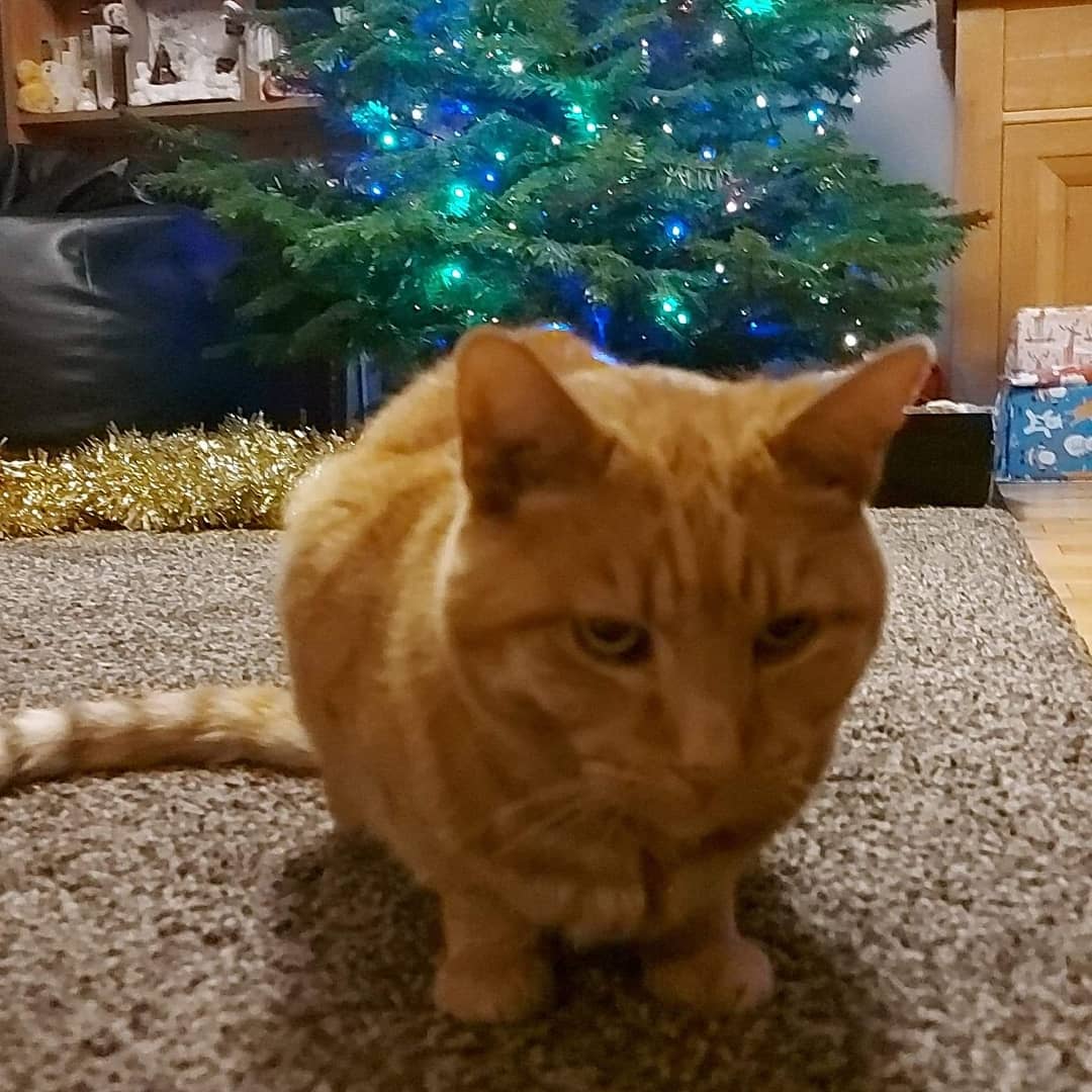 UEA Politics Society tweet media