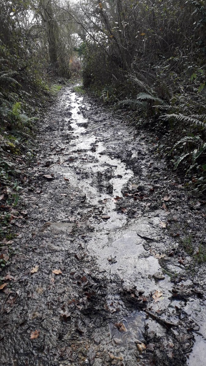 mathieuwallesch's tweet photo. Bon trail en bord de Rance cette après-midi. Boue et soleil au rendez-vous, que du bonheur 
#Altrarunning #EmbraceTheSpace #zerolimits #zerodrop #suunto #trail #running #Bretagne https://t.co/Gk4JMA3E1F