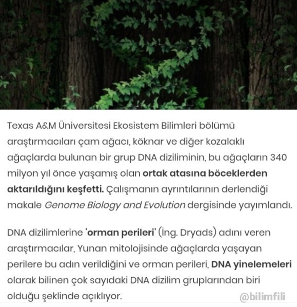 Posthumanizm's tweet image. Bazı ağaçların #DNA sında böceklerin DNA sı tespit edildi. Kendini #böcekler arasında gören #ağaç böceğe dönüşüyorsa, kendisini #makine ler arasında gören #insan neye dönüşür peki?