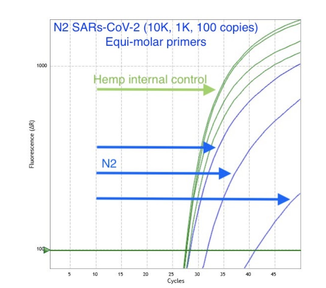 We accomplish this by targeting a conserved cannabis sequence in qPCR. Every PCR assay must have a qPCR target that proves you lysed open the plant cells. Many SARs-CoV-2 assays accomplish this by targeting a human gene known as RNaseP.